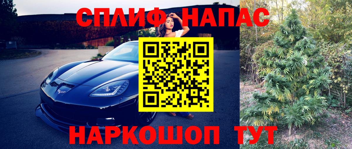 Бошки Шишки Солнечногорск